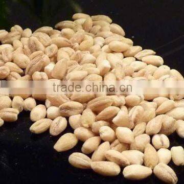 chinese hulled barley