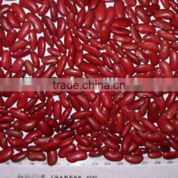 Dark Red Kidney Beans