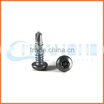 China Supplier Carbon Steel Anti-theft Screw photo-3