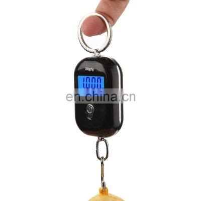 25Kg x 5g Digital Hanging Scale Mini Electronic Luggage Hook LCD Backlight Kitchen Steelyard