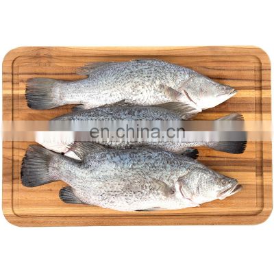 wholesale seabass fish frozen seabass fish barramundi fish