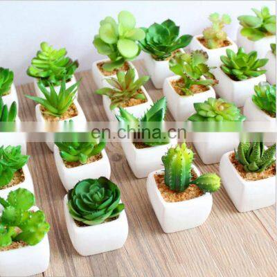 Home Decor Artificial Suculentas Natural Faux Plants Supplier Ornamental Handmade Ceramic Pots With Plastic Succulent Plants
