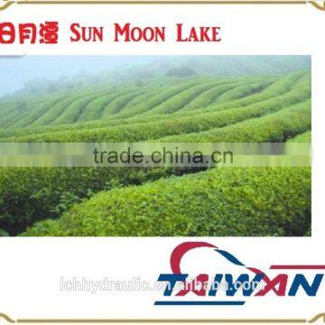 Hot China Products Wholesale Black Tea Price photo-4