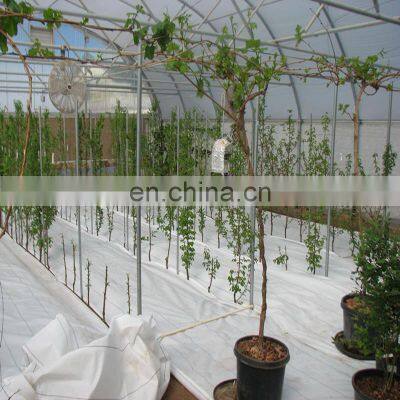 Wholesale Supplier Chile Ground Cover Weedmat Roll