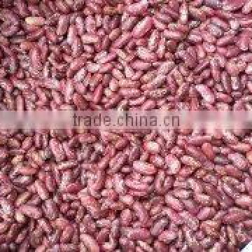 chinese speckled kidney beans light purple red color