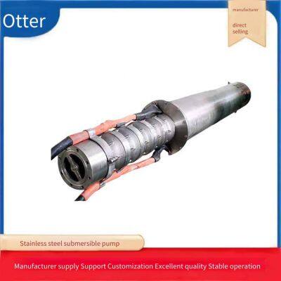304 Stainless Steel Deep Well Pump_316 Stainless Steel Seawater Pump_seawater Lift Pump Skid photo-3
