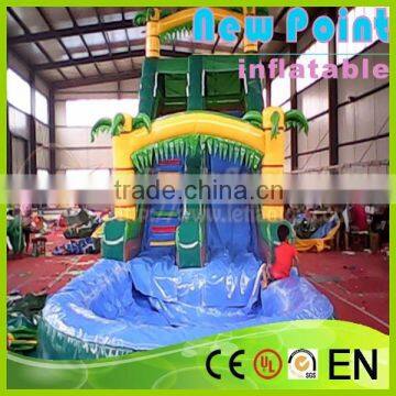 New Point inflatable water slides for summer,China inflatable water slides for kid,inflatable water slides