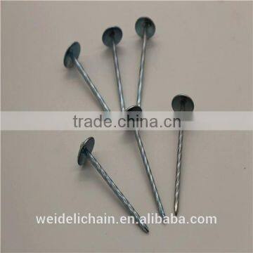 Competitive Price BWG10X2.5" Roofing Nails photo-5