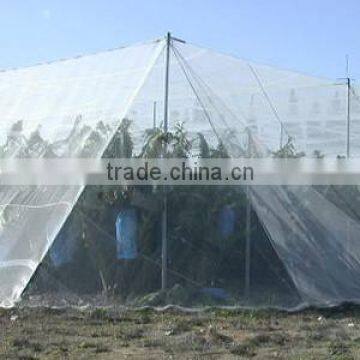 HDPE anti hail nets for protection