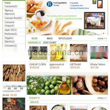 Build Your Ecommerce Website for Business,Internet Marketing Service,website Design,Software Company,website Developers photo-4