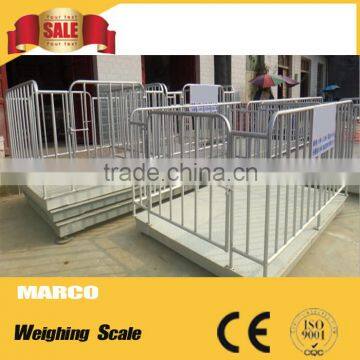 5T Large-scale Automatic Poultry Farm Design for Sale photo-6