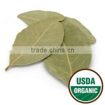 Bay Leaf Organic