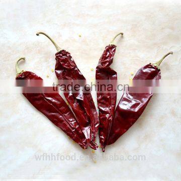 Chinese Dry Red Chili for Wholesale photo-3