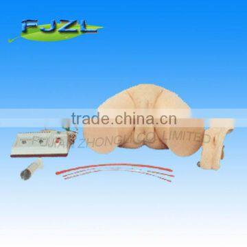 Medical human nursing Male Catheterization Training Simulator