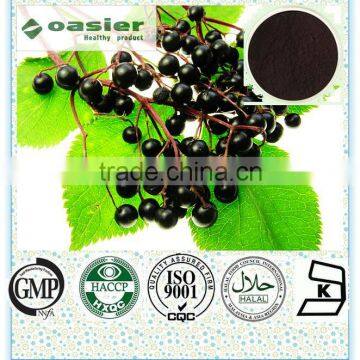 High Quality Elderberry Extract Powder,25% Anthocyanidin