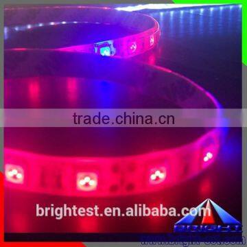 Waterproof Led Plant Light 150smd 5050 Led Strip