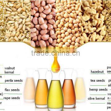 2016 Newest Groundnut Oil Press Machine photo-4