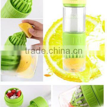 Bpa Free Food Grade Fruit Infuser Glass Fruit Infuser Sport Water Bottle 500ml photo-4