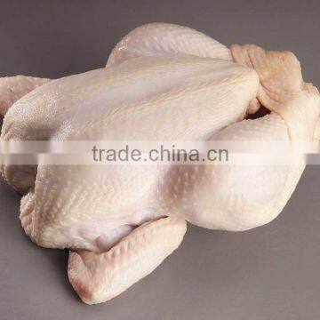 Halal Top grade frozen whole chicken brazil