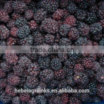 Frozen style blackberry A grade whole