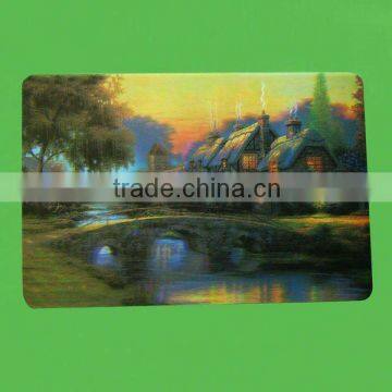 clear plastic placemat/3d plastic placemats