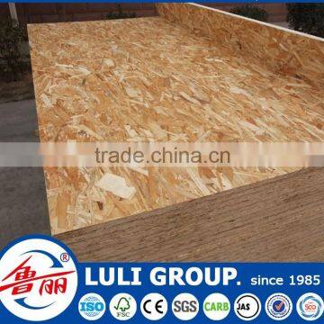 Fairly Confident Osb in Sale photo-4