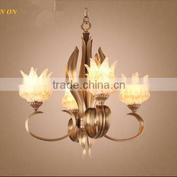 Special Metal Iron Chandelier Pendant Lighting