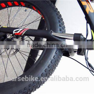 750W Fat Tire Snow Beach Electric Bike