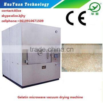 Ginkgo Biloba Extract Microwave Vacuum Drying Machine / Dehydrator