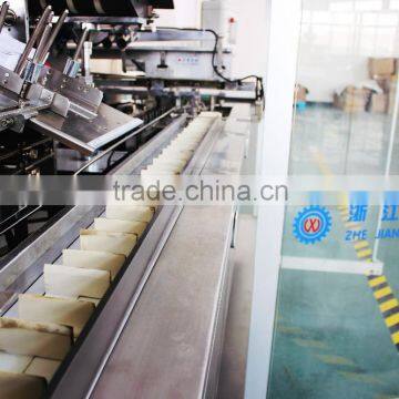 Blister Cartoning Machine (XWZ-120) photo-5