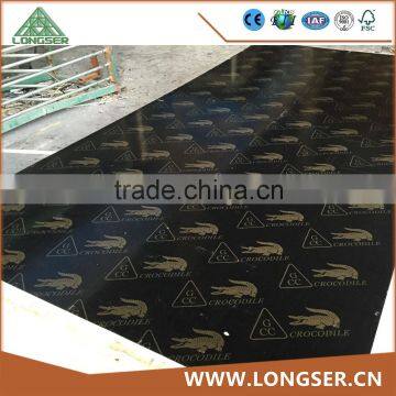 18mm Black Waterproof Shuttering Film Faced Plywood