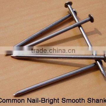 bright common wire nails factory price