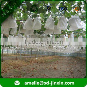 Anti-UV non woven polypropylene fabric hanging plant grow bags