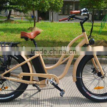 CE Certification Electric bike with fat tyres for snowy road