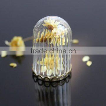 Decorative Vertical Corrugated Cylinder Glass Dome Glass Cover 20*30mm/25*38mm/20*50mm/OEM