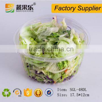 Eco Friendly PET disposable plastic vegetable and fruit salad packaging