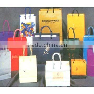 Fashionable Paper Shopping Bag(KL08PB004)