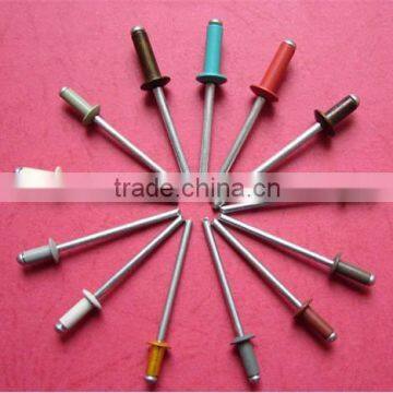 Ningbo manufacture and supplier with high quanlity best price Powder Painting Blind Rivet fasteners