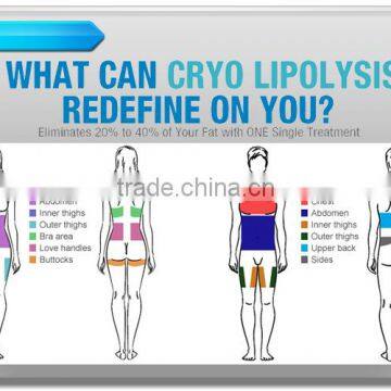 Fat Freezing Hottest Criolipolisis Lipo Cryo Fat Freezing Machine Cryolipolysis Device Increasing Muscle Tone photo-3