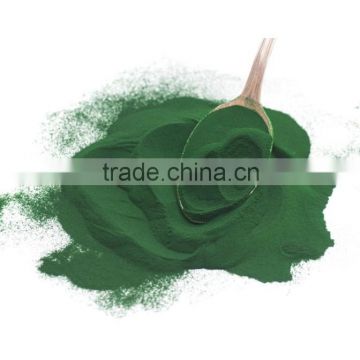 Chlorella powder