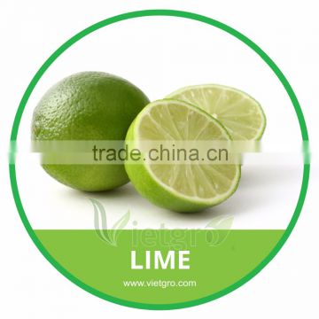 HIGH QUALITY FRESH GREEN LIME // FRESH PAPER LIME// VIETNAMESE FRESH FRUITS