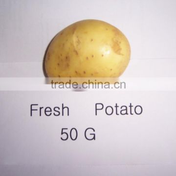 Price of Fresh Potato from Shandong Farmland