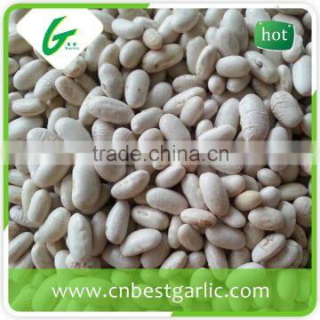 Long size wkb baishake white kidney bean