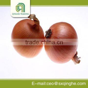 China origin fresh yellow onion