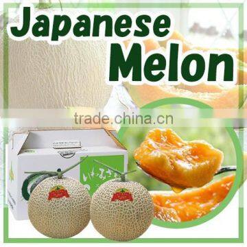 Delicious Komitsu Fuji Apple , Other Fruits Also Available