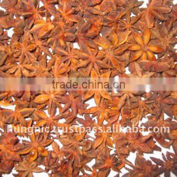 Star Anise/Vietnam Star Anise good price high quality (website: Visimex09)