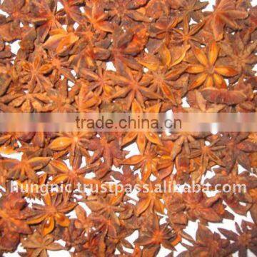 Star Anise/Vietnam Star Anise Good Price High Quality (website: Visimex09)