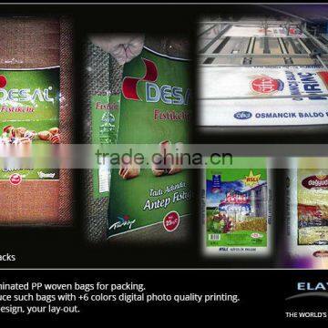pp Woven Printed Sacks