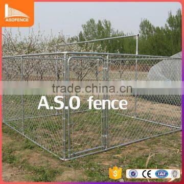 Factory price 3m hight big dog cage Anping wholesale dog kennel