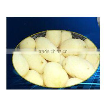 Most Competitvie Peeling Machine /fruit and Vegetable Peeling Machine/fruit Peeling Machine photo-6